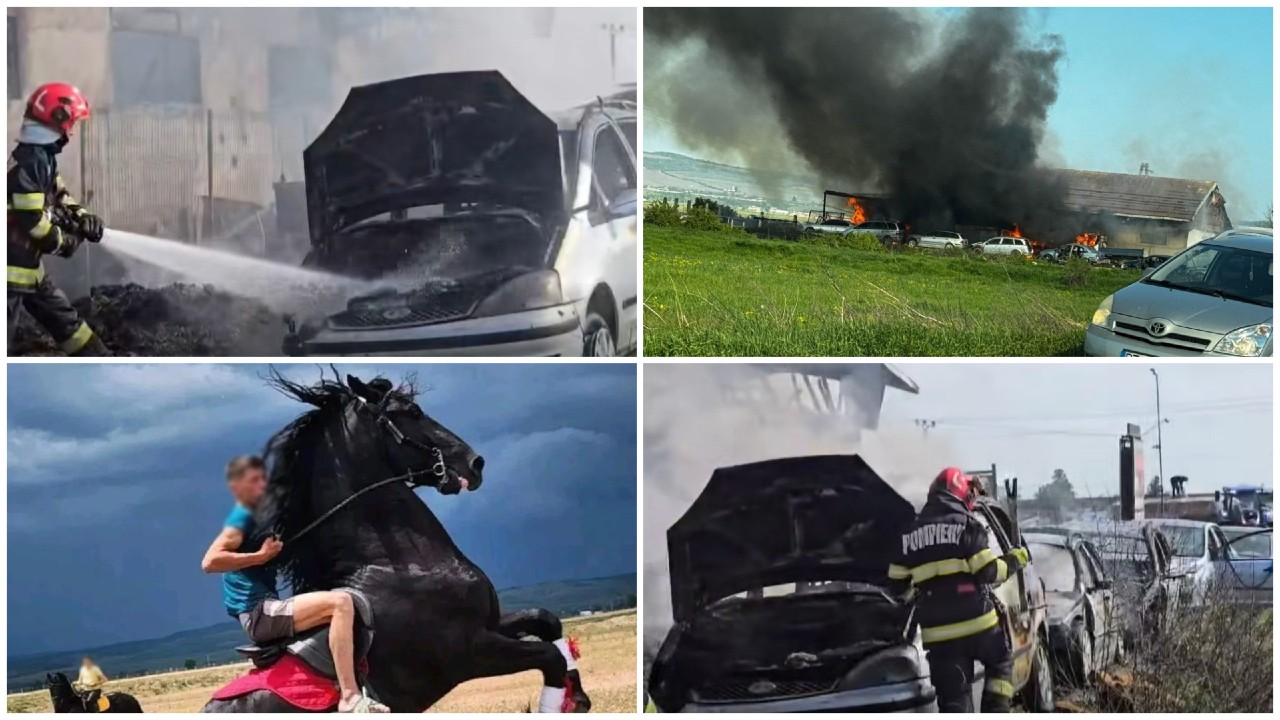 Incendiu devastator la un grajd din județul Buzău: trei cai și un mânz de rasă au murit. A fost afectat și un parc auto