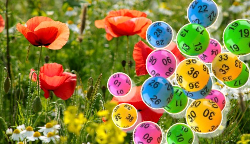 Rezultate Loto 17 mai 2026. Plouă cu bani la tragerea de duminică