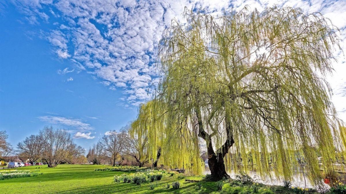 Ninsori, îngheț și chiar ger în minivacanta de 1 Mai. Apoi temperaturile vor depăși 25 de grade în mai multe zone. Prognoza meteo ANM în perioada 4-31 mai 2026