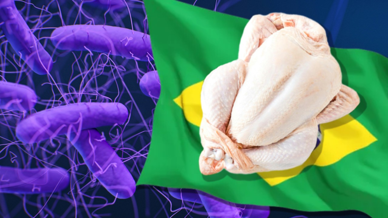 Primul lot de pui brazilian importat în UE prin Mercosur este contaminat cu Salmonella în proporție de 80%