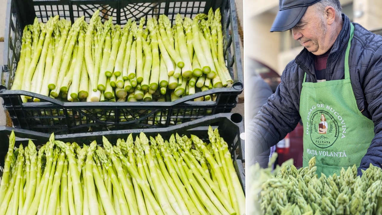 O familie de români întoarsă din Germania a dezvoltat o plantație de sparanghel în Bucovina: „O să începem să recoltăm de pe trei hectare jumătate”