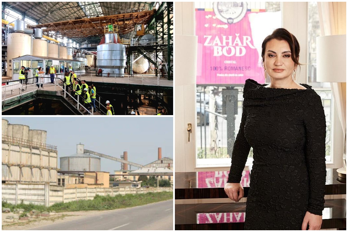 Mihaela Neagu avertizează asupra transformărilor din industria alimentară: „Schimbarea consumatorului poate costa industria miliarde”