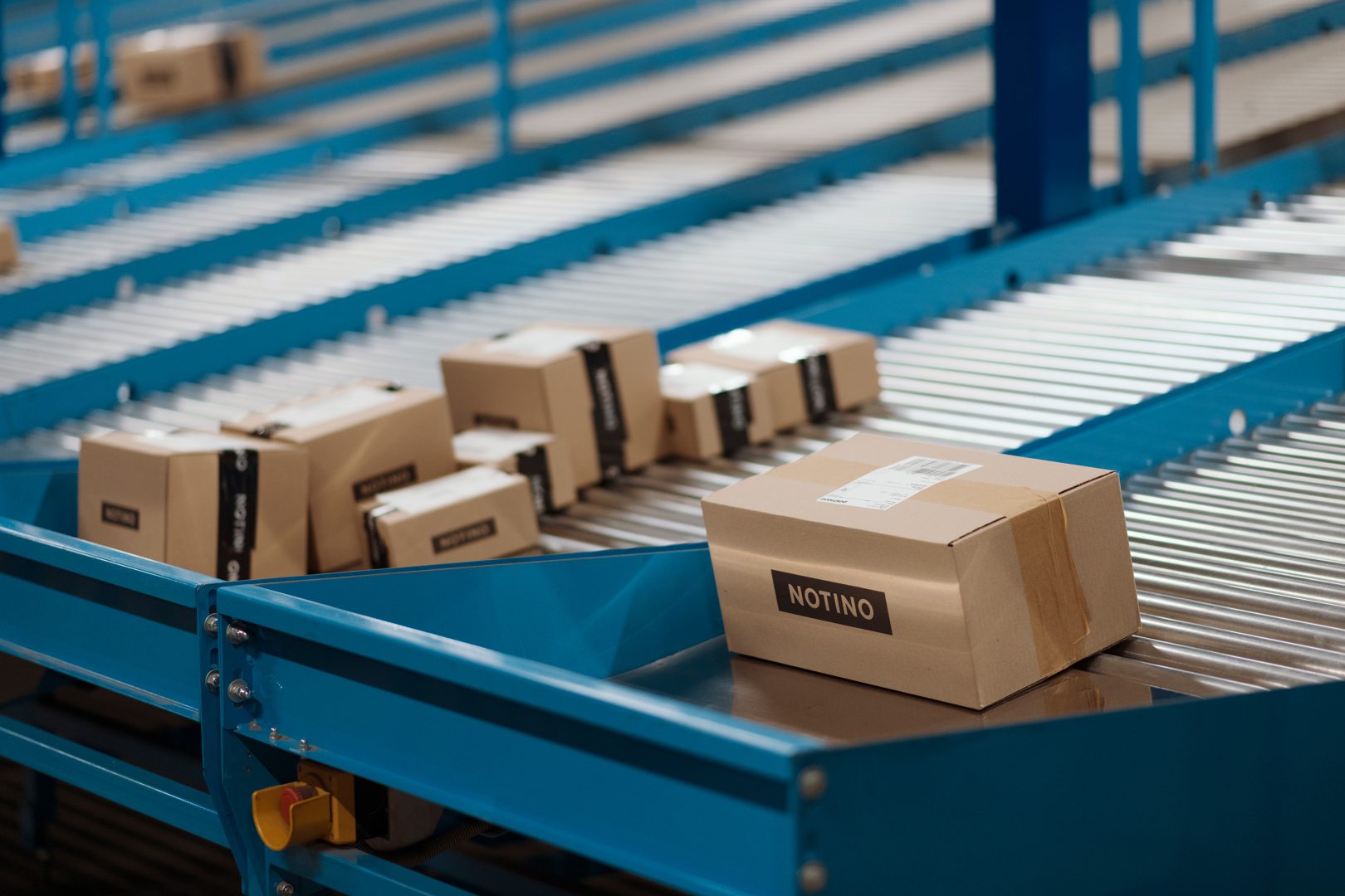 Notino Black Friday ediția de vară, 8 iunie – 5 iulie 2026. Uite tot ce trebuie să știi