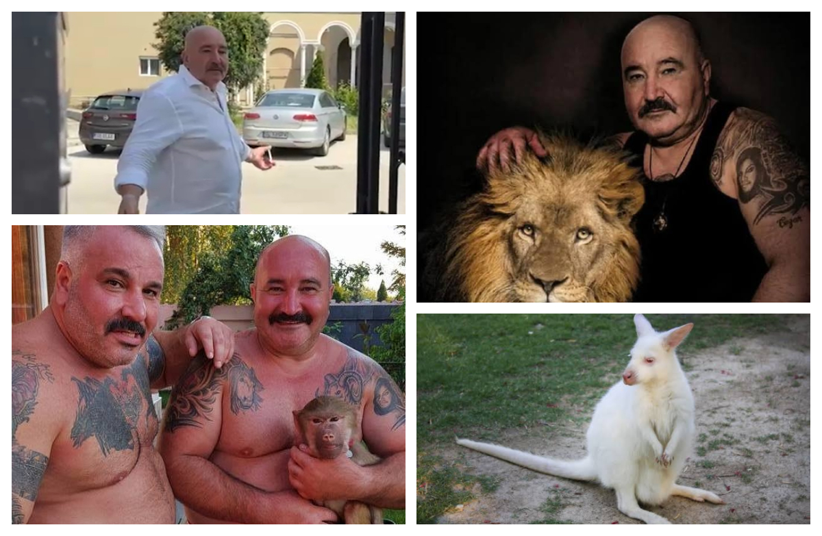 Nuţu Cămătaru, adus în faţa anchetatorilor din Ploieşti. Ce acuzaţii i se aduc