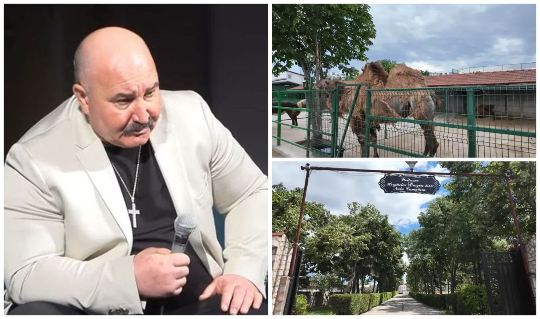 Cum arată vila lui Nuțu Cămătaru din Ferentari. Interlopul are o adevărată grădină zoologică în Capitală