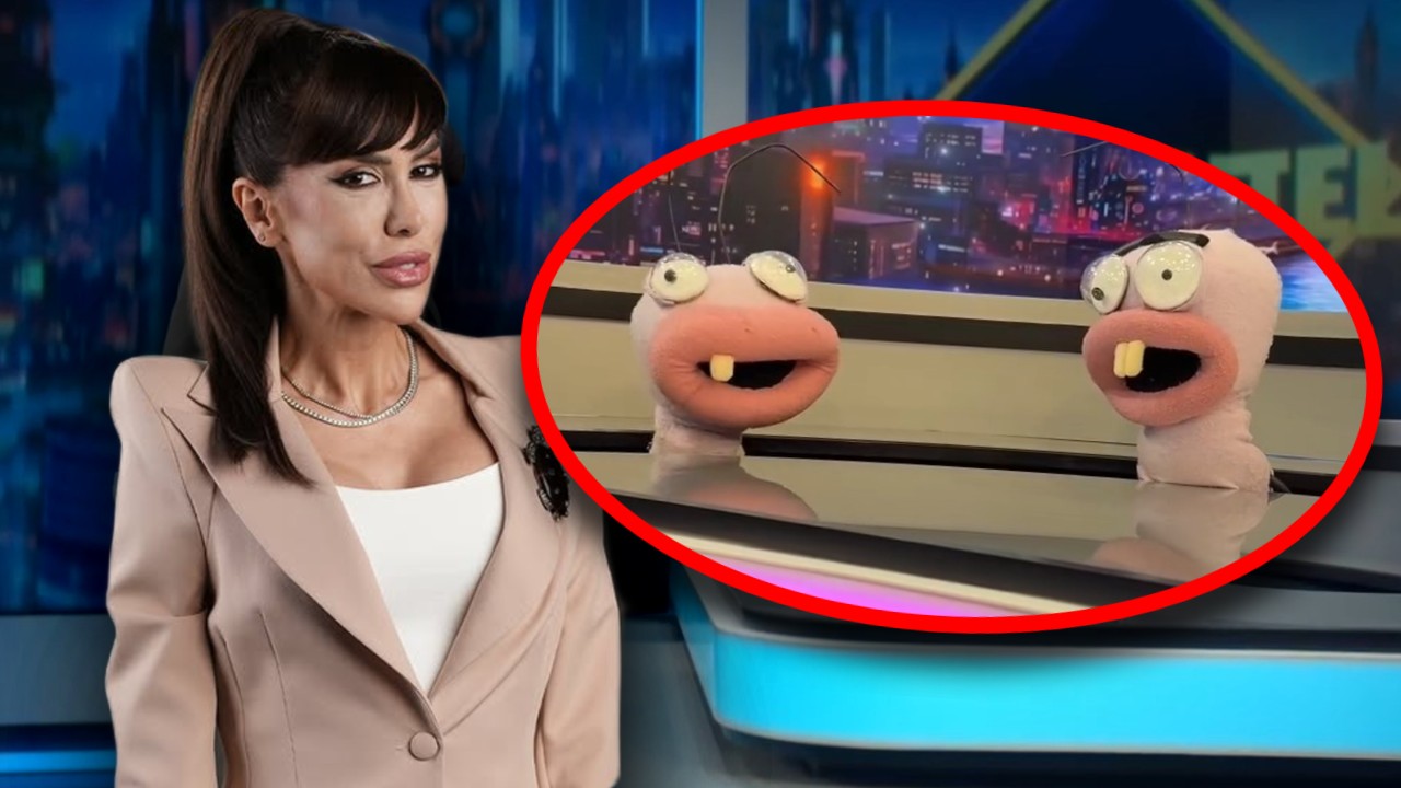 Cine sunt Scamă și Blană, Furnicuțele din emisiunea lui Denise Rifai de la Antena 1