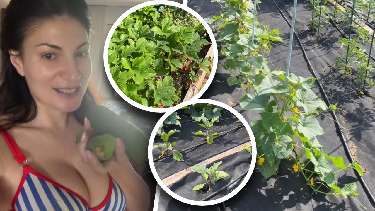Ioana Ginghină, mândră de curtea casei sale. Actrița se ocupă de flori, iar soțul ei de grădina de legume: „Deja începe să dea roade!”