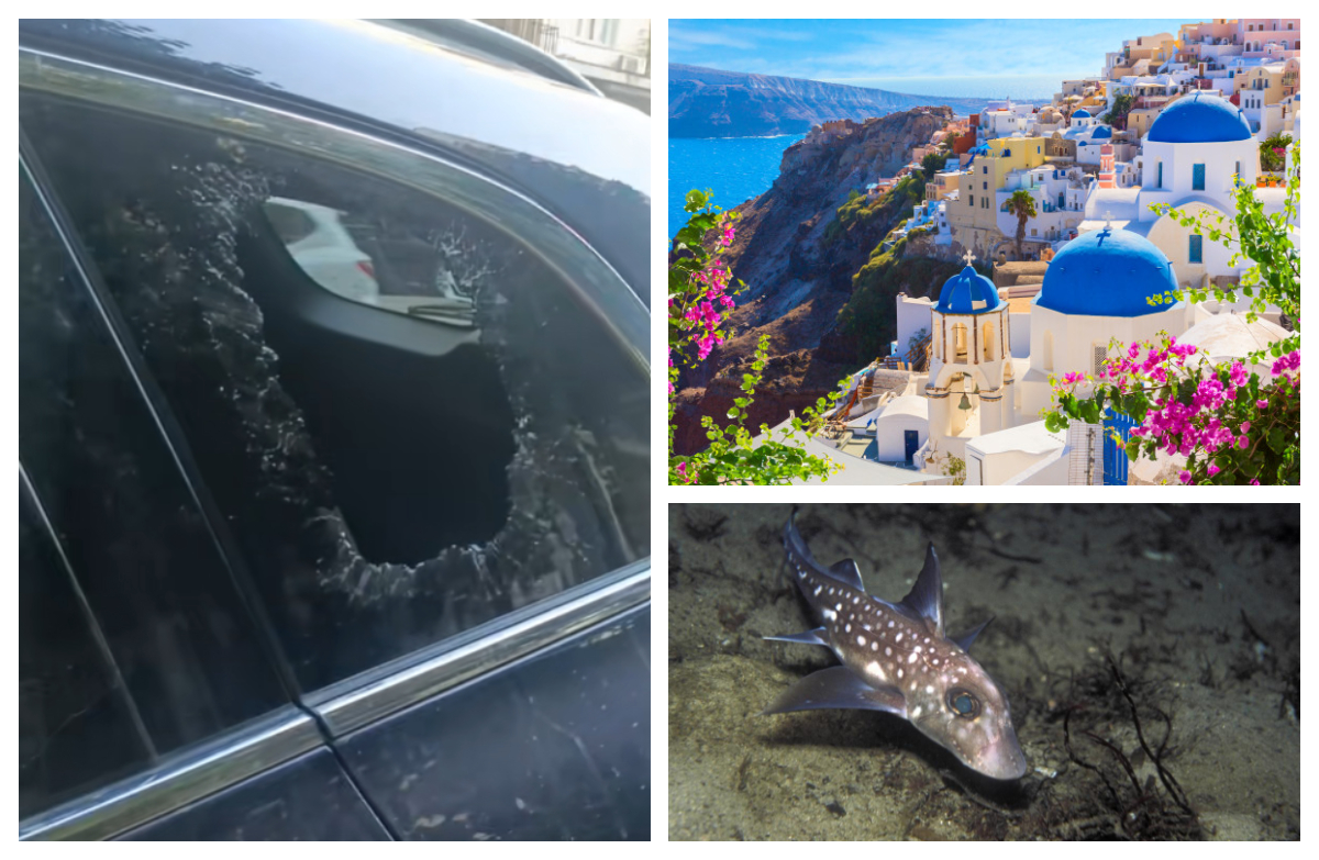 Hoţii şi peştele-iepure ameninţă vacanţele românilor din Grecia VIDEO
