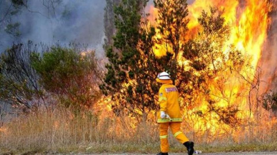 Incendiu de vegetație în Spania. Au ars 330 de hectare. Mai mulți oameni sunt evacuați