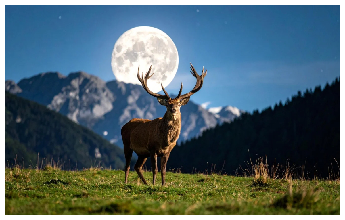 4 zodii își schimbă drumul în viață după Luna Plină în Vărsător, până pe 2 august o alegere le poate influența cursul vieții