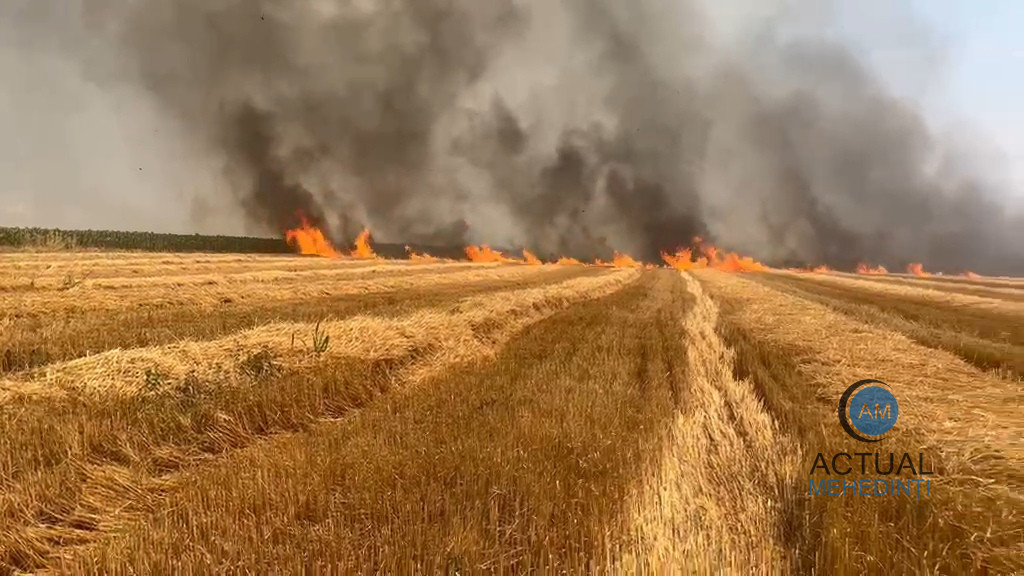 Incendiu masiv în Mehedinţi, ard peste 30 de hectare de mirişte VIDEO