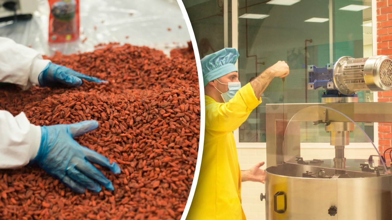 Unul dintre cei mai mari producători de ciocolată din lume se pregătește să deschidă prima fabrică din România