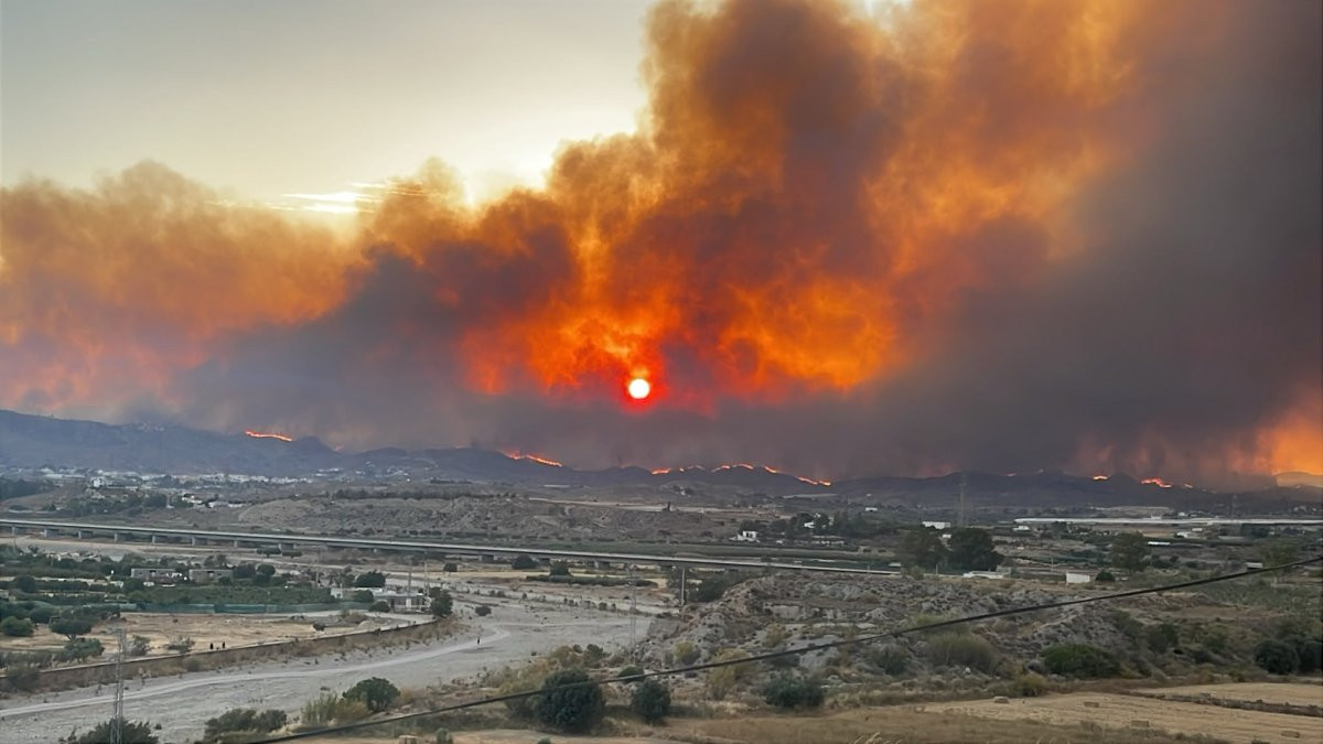 Val de căldură extremă în sudul Europei. Un incendiu de pădure a dus la moartea a 12 oameni în Spania