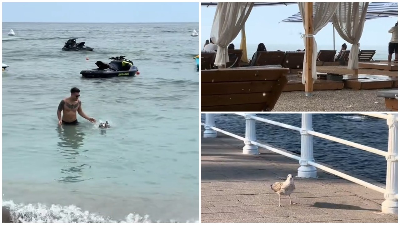 Cât a ajuns să coste o zi de plajă în Mamaia. Experiența unei influencerițe: „Nu punem în calcul motorina și taxa de pod de la Fetești”