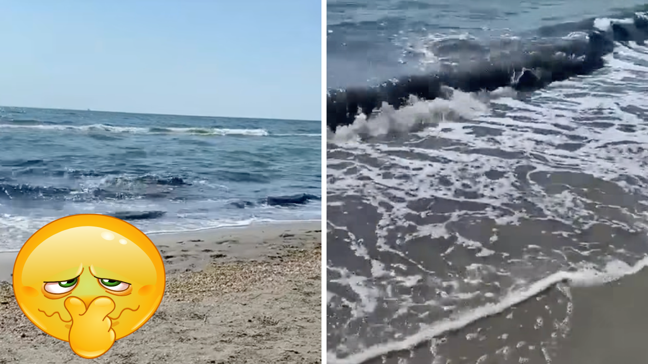 Panică pe litoral! Culoarea ciudată a apei și mirosul înțepător au alertat turiștii. Ce au descoperit autoritățile