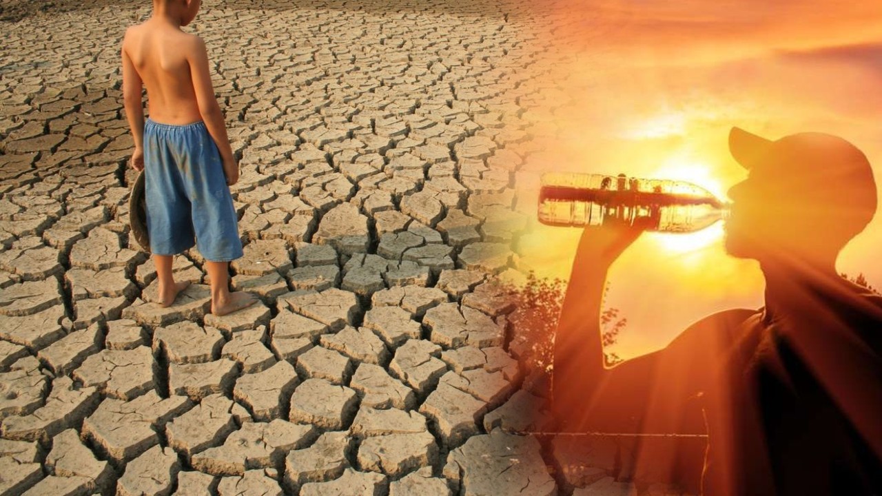Canicula din Europa și riscul ridicat al unui Super El Niño amenință piețele materiilor prime. Produsele care s-ar putea scumpi din cauza fenomenelor meteo extreme