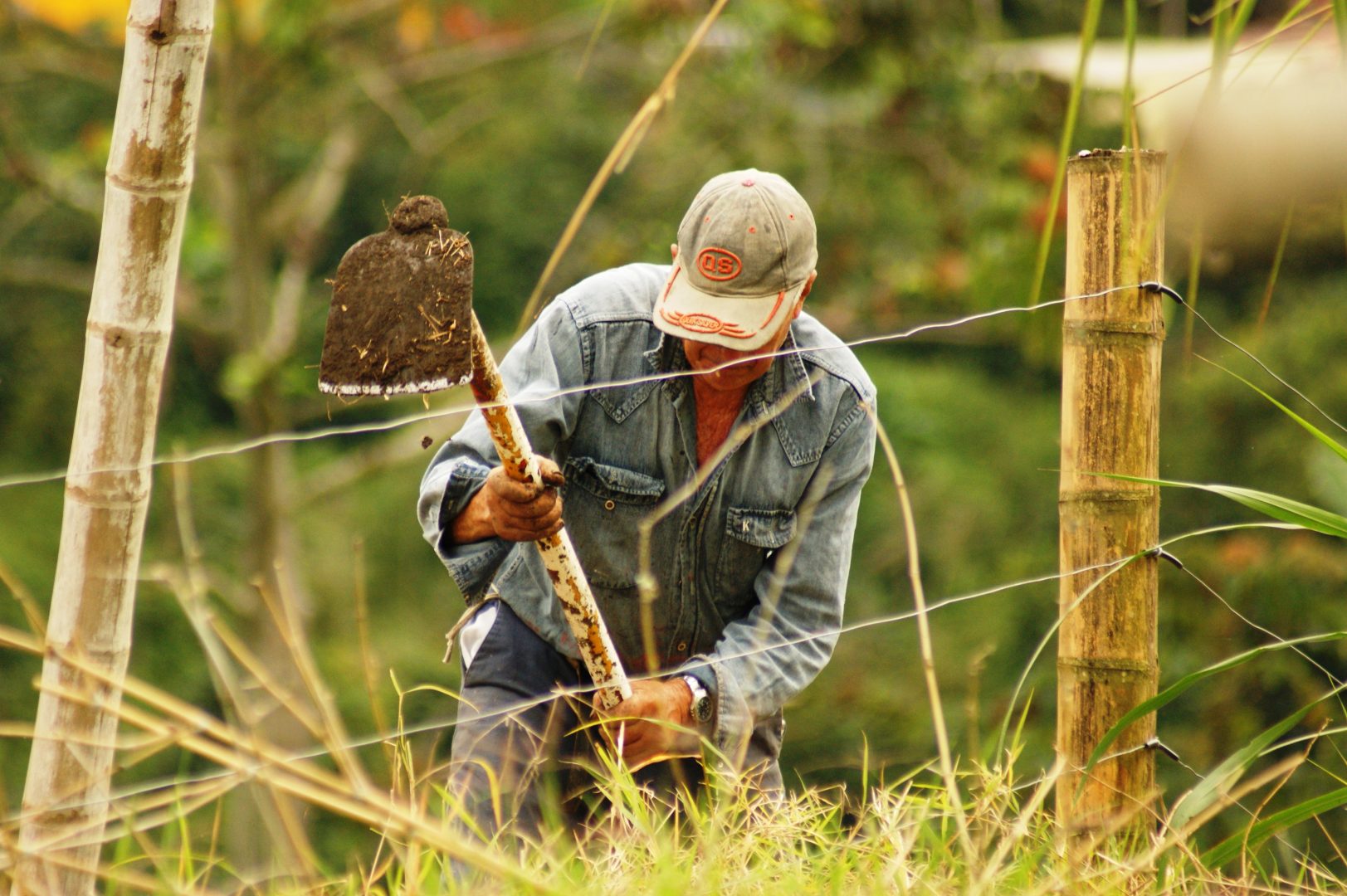 Ministrul Mediului anunță închisoare pentru fermierii care folosesc pesticide și apă pentru irigarea culturilor