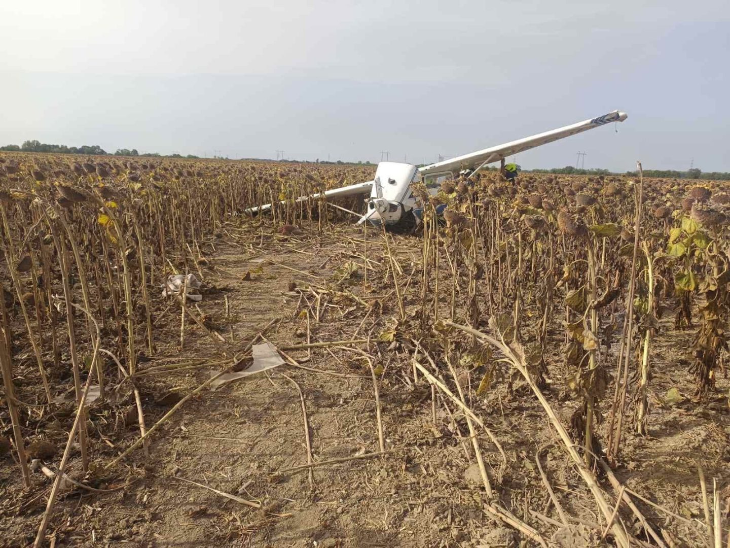 S-a aflat cine este tânărul care a furat un avion și a aterizat cu el lângă centrala nucleară Paks: „Eram prea beat, nu-mi amintesc nimic! N-am permis, n-am pilotat nici pe simulator”