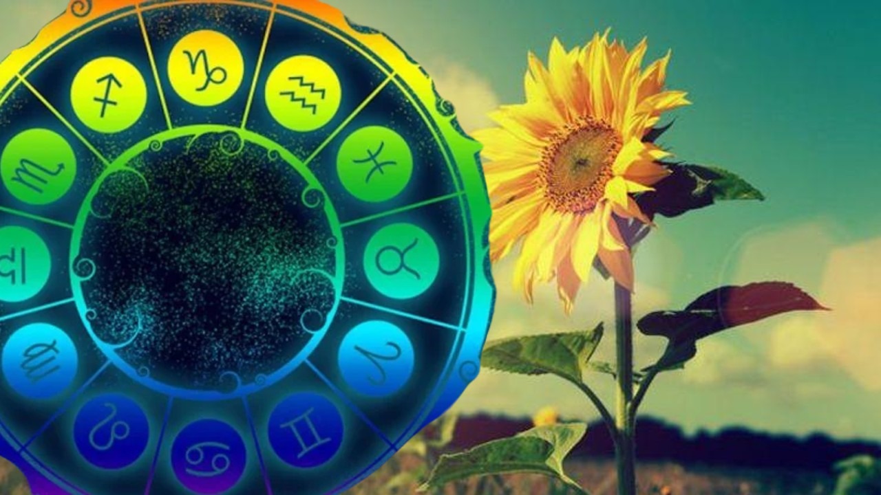 Zodiile care pot avea noroc financiar în august 2026