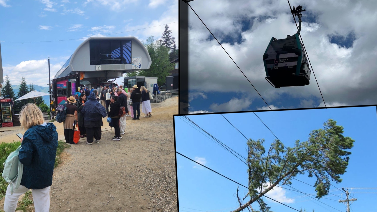 Avarie la Sinaia! Turiștii din telegondole, evacuați după ce un copac a căzut peste cablurile de tensiune