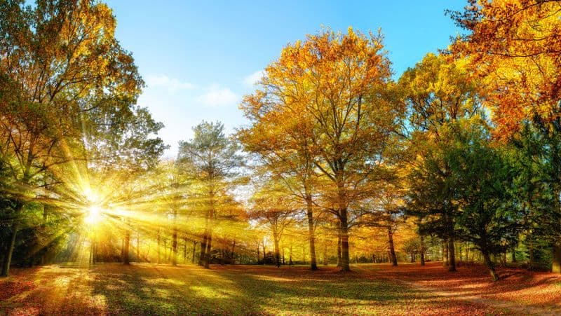 Prognoza meteo. Weekend de vară, de luni revin ploile în toată ţara