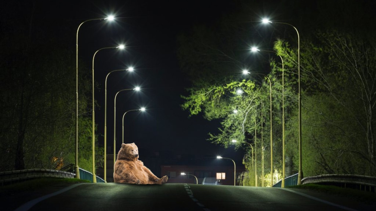 O comună din Buzău întrerupe iluminatul public pe perioadă nedeterminată. Localitatea care urmează să rămână în beznă este frecvent „vizitată” de urși