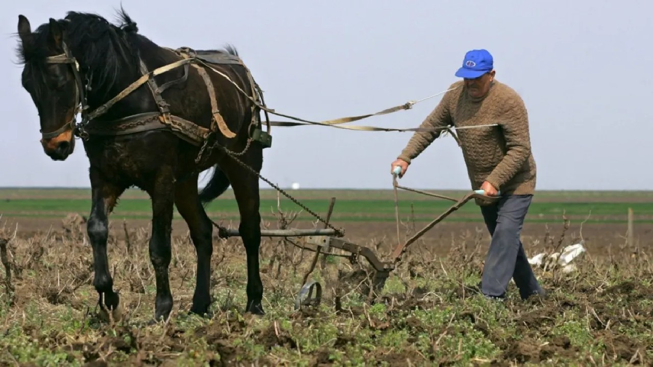 Ce salarii sunt în agricultură în 2026. Cât câștigă un angajat și care este diferența față de media națională