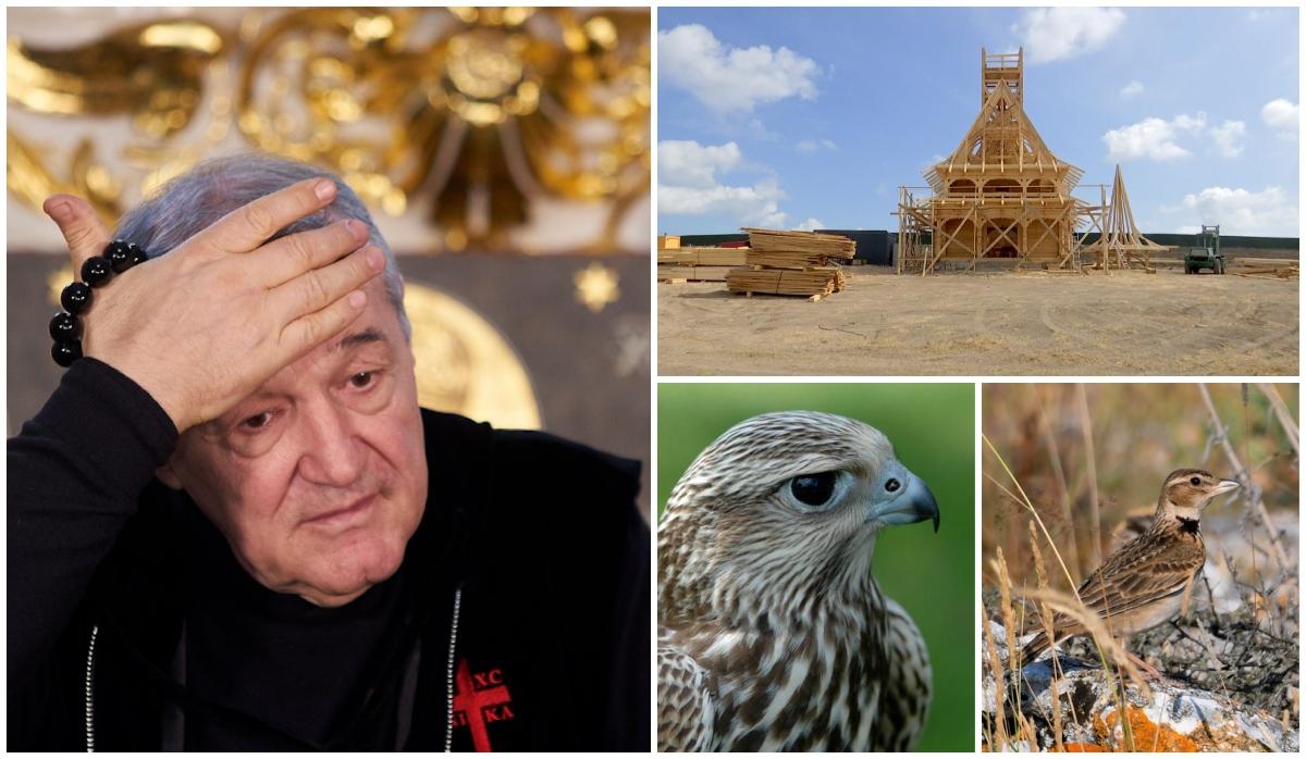 Amendă imensă decisă de instanţă pentru fiica lui Gigi Becali. Procesul nu s-a încheiat