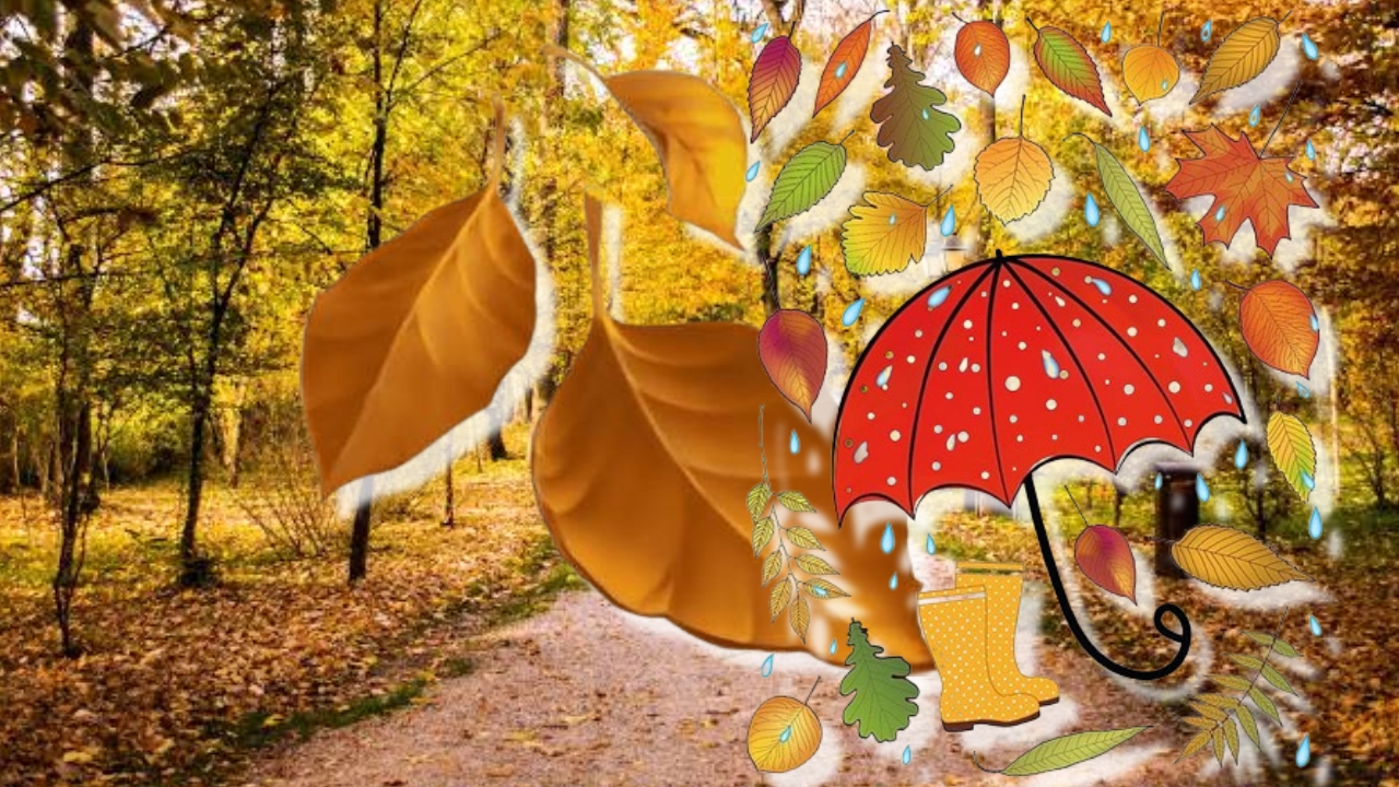 Prognoza meteo Ploi slabe în weekend, toamnă mai aspră de săptămâna viitoare