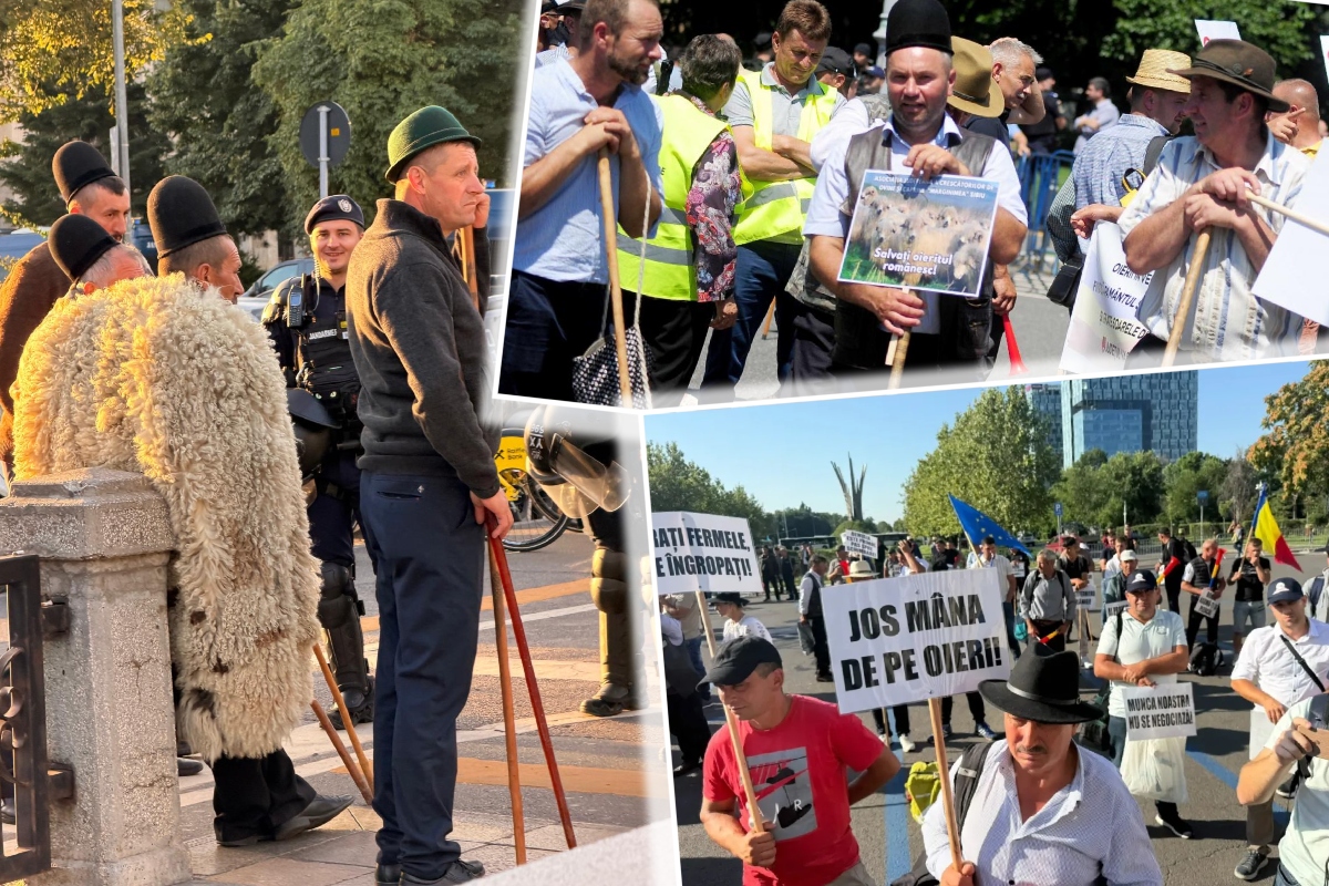 Protest de amploare al fermierilor în Capitală. Agricultorii cer soluții pentru criza din agricultură și acuză autoritățile de blocarea exporturilor. Mobilizare impresionantă a jandarmilor