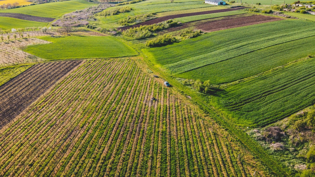 Terenurile agricole mari din România s-au ieftin considerabil. Cât costă hectarul acum